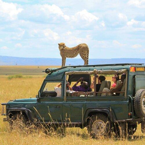 Safari & Reisen
